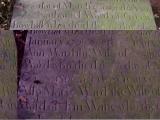 image of grave number 174556